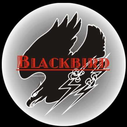 Logo.jpg (18101 Byte)